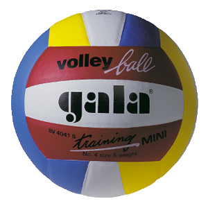 Training Mini – BV 4041 S