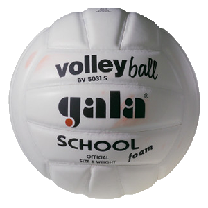 School – BV 5031 S