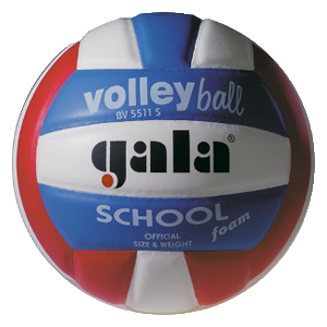 School Foam – BV 5511 S