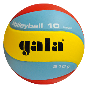 Volleyball 10 – BV 5551 S – 210g