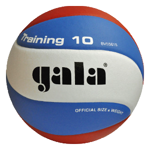 Training 10 – BV 5561 S