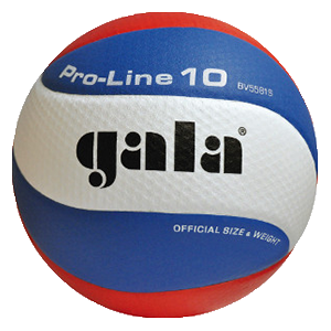 Pro Line 10 – BV 5581 S